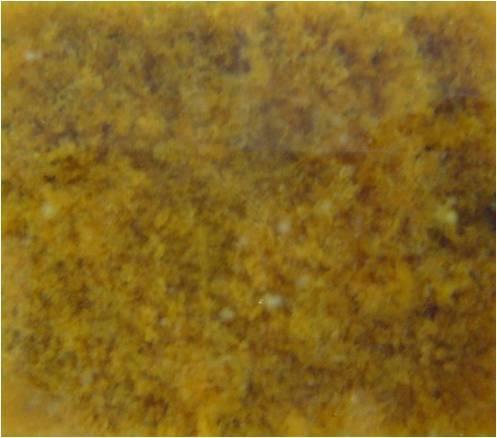 Rys.4. Jednolita warstwa koagulantu po opadnięciu na powierzchnię osadów dennych warunki laboratoryjne (akwarium 10x10x20 cm), niemożliwe do osiągnięcia w skali zbiornika naturalnego.