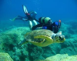 .. Jeśli dla kogoś ta plaża jest zbyt mała, kilka km dalej w Patarze mamy jedną z najdłuższych