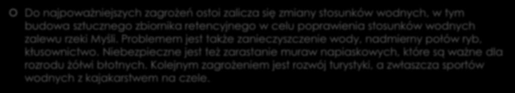 Jakie cele działań ochronnych zostały wyznaczone w Planie zadań ochronnych dla badanego obszaru?