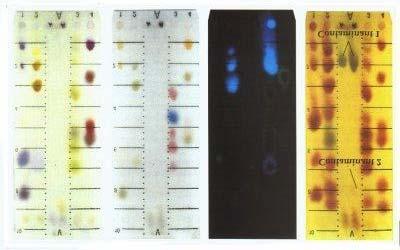 Colin F. Poole "Planar chromatography at the turn of the century, Journal of Chromatography A 1999, 856:1-2:399-427 W tym rozwiązaniu faza stacjonarna skonfigurowana jest jako warstwa dwuwymiarowa.