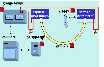 PODSTAWOWE ELEMENTY EKEKTROFOREZY KAPILARNEJ Chromatografia znajduje liczne zastosowania w dziedzinie biologii i chemii.