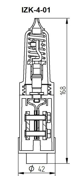 bzpicznikow