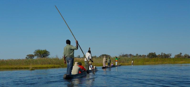 spływ kanałami Okawango DZIEŃ 10 DELTA OKAWANGO PIESZE SAFARI W DELCIE OKAWANGO PŁYWANIE ŁODZIAMI MOKORO Po porannym safari zjemy śniadanie i ruszymy do Maun.