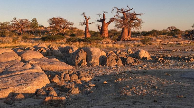 Dziki camping bez żadnych sanitariatów i udogodnień. Nocą czeka nas spacer po wyschniętym jeziorze, odwiedzimy wyspę z majestatycznymi baobabami.