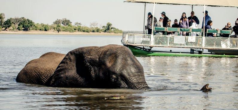 rejs po rzece Chobe DZIEŃ 5 CHOBE NATIONAL PARK REJS PO RZECE CHOBE I PRZEJAZD DO IHAHA Wcześnie rano dla chętnych kolejne atrakcje.