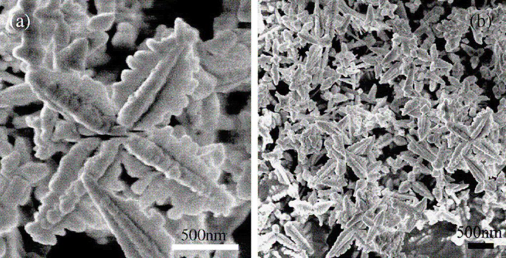 Rys. 28. Zdjęcia kryształów PbWO 4 wykonane za pomocą elektronowego mikroskopu skaningowego SEM [30].