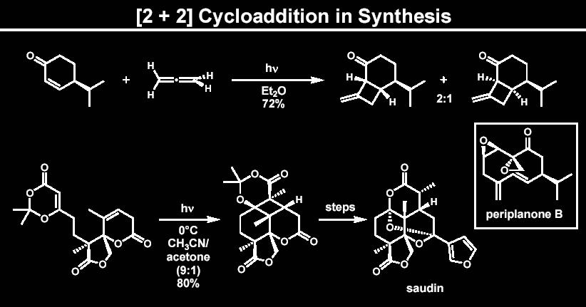 CYKLADDYCJE