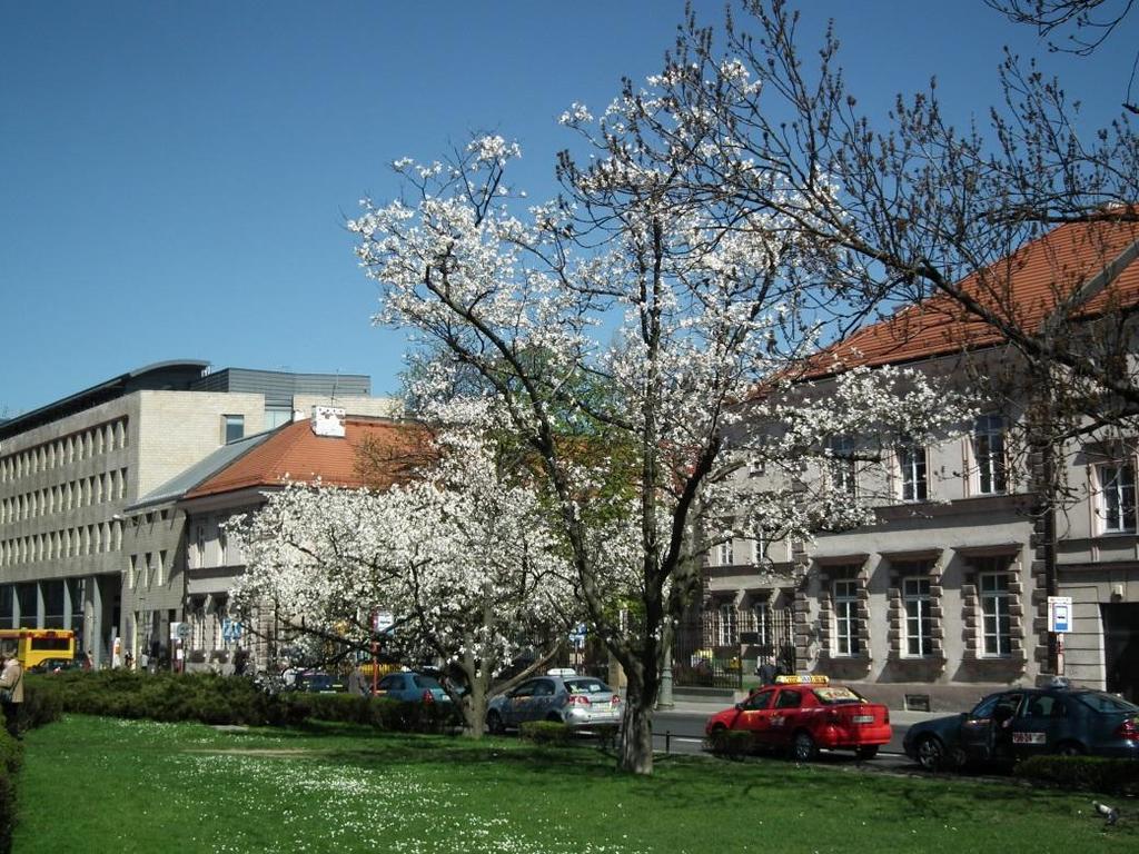 Dobór Nowe nasadzenia w MOP Przy parkingach,