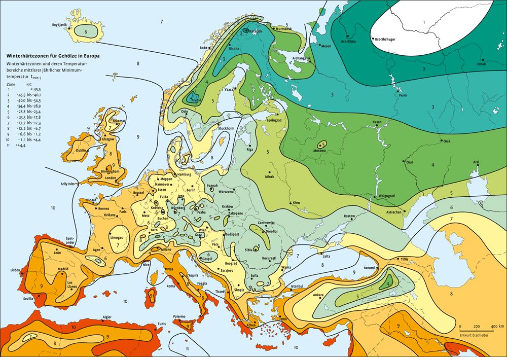 Dobór drzew przydrożnych podstawy Przyjęcie zasady sadzenia gatunków krajowych, nie wyklucza sadzenia drzew i krzewów obcego pochodzenia, stosowanych na przykład: w miejscach obsługi podróżnych, przy