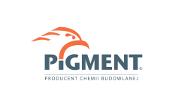 91 462 10 20, 91 469 23 09 faks 91 462 11 86 pigment@pigment.inet.pl www.pigment.inet.pl www.titanium-tech.