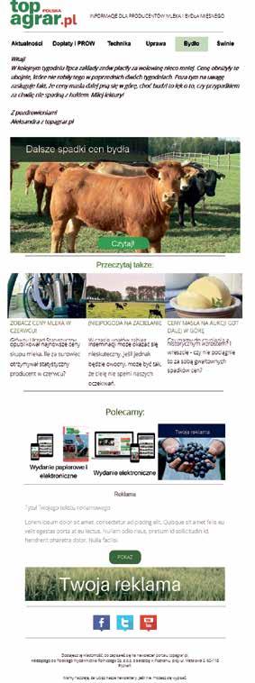 Reklamy w newsletterach Codzienny od poniedziałku do piątku Technika wtorki Uprawa w środy Świnie w czwartki Bydło w piątki