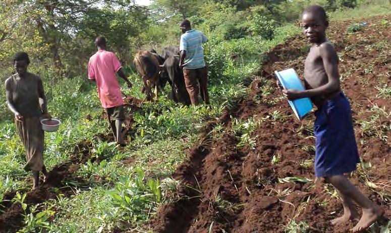 Rolnictwo pierwotne ROLNICTWO PIERWOTNE odznacza się wspólnym posiadaniem ziemi oraz gospodarowaniem nimi w oparciu o bardzo prymitywne sposoby gospodarowania wykorzystujące proste narzędzia rolnicze