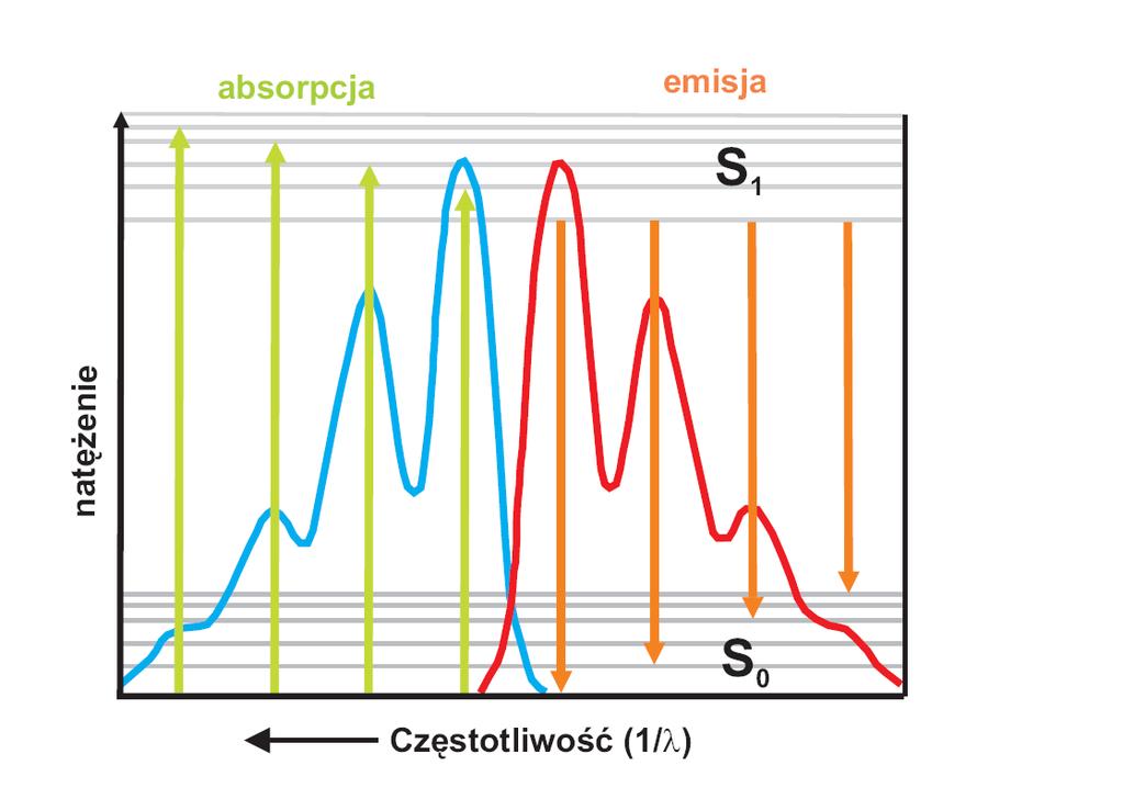 Robert Bryl elektronowych powstaje pasmo, wewnątrz którego molekuła może być wzbudzana do dozwolonych drgań własnych. Obsadzenia wewnątrz takiego pasma są zgodne z rozkładem Boltzmanna.