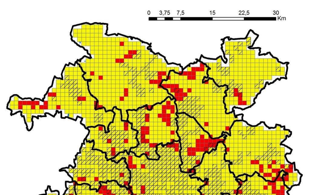 Koncepcja Kierunków Rozwoju