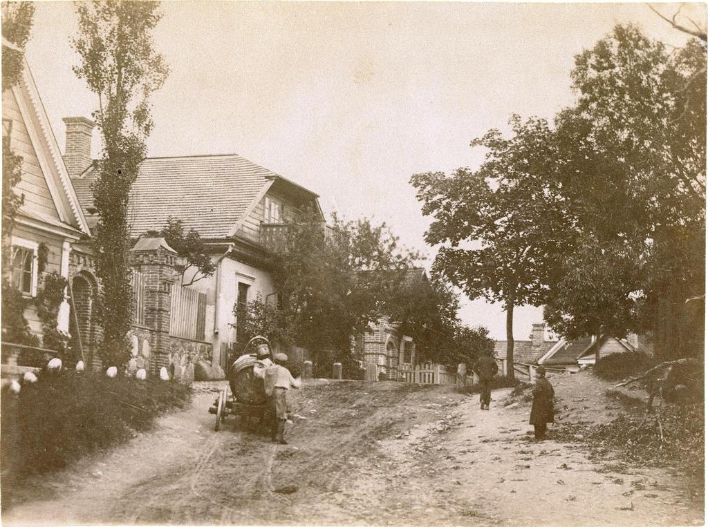 Grāfa Eugēnija Plātera mājas Krāslavā - t. s. Kombuļka un Zaļā mājiņa, 1896. gada 2. septembrī. Foto: S.