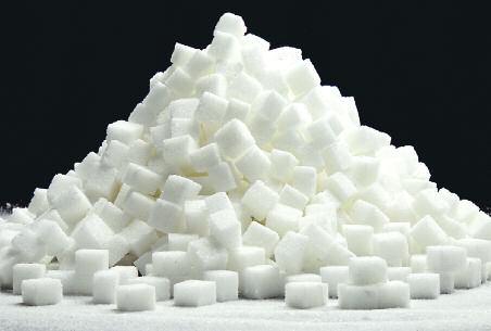 Zawartość i wydajność cukru 8 Sukces w uprawie buraka zależy od wielkości plonu korzeni, zawartości w nich cukru i jakości technologicznej korzeni.