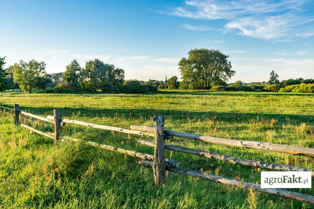 .pl https://www..pl Ceny ziemi okiem rolnika Pomimo iż ceny ziemi w Polsce po wprowadzeniu Ustawy wzrosły jedynie nieznacznie, rolnicy oceniają, że kupno ziemi jest nadal poza ich zasięgiem.