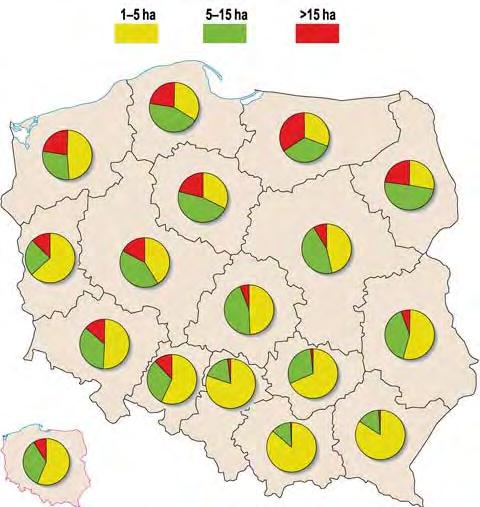 3b. Struktura agrarna: wielkość gospodarstw (struktura wielkościowa) Duże gospodarstwo ma wyższą opłacalność, bo pozwala wytworzyć więcej produktów przy mniejszych nakładach; największe średnie