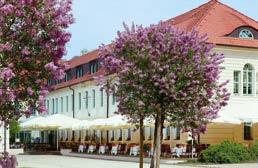 KRÓLEWSKI WYPOCZYNEK) W pobliżu pensjonatu znajdują się pałac Pillnitz i urocze nadłabskie łąki.