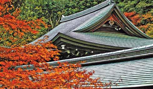 Dzień 9: Kioto Nara Kioto Przejazd z hotelu do Złotego Pawilonu, położonego o krok od wzgórza Kinugasa.