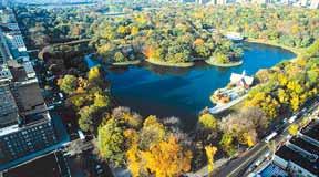 budynku Parlamentu, Ośrodka sportowego oraz postój przed CN Tower. Zakwaterowanie w hotelu Toronto Don Valley *** (lub obiekcie o podobnym standardzie).