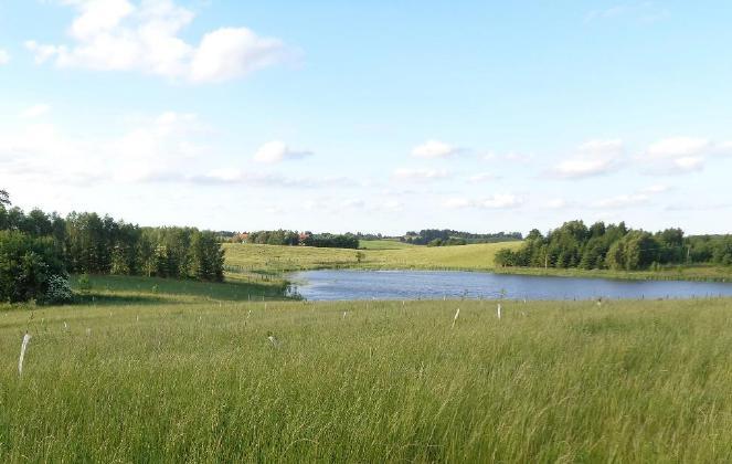 Czynniki wpływające na powstawanie szkód w sadach i na plantacjach Miejsce założenia uprawy Sady w bliskim