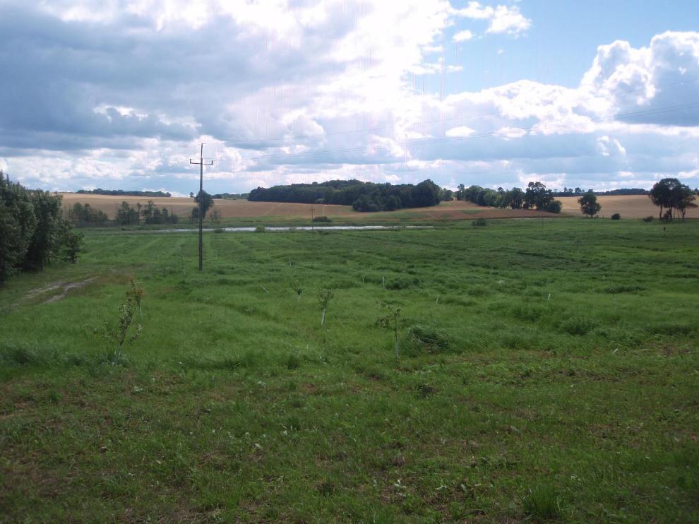 Rażące naruszenie zasad agrotechnicznych