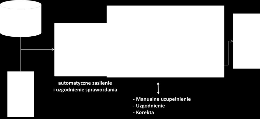 mapowanie oraz przetwarzanie danych (w razie potrzeby) manualne uzupełnienie danych uzgodnienie danych sprawdzenie zgodności z taksonomią wygenerowanie i wysłanie gotowego raportu asist stwarza