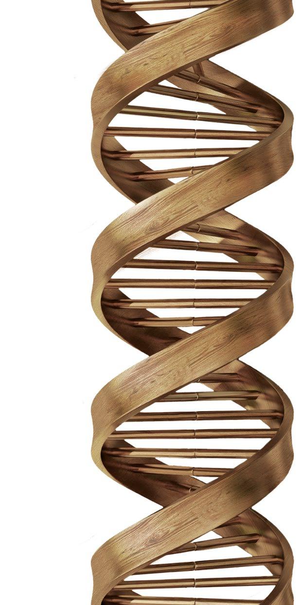 ROZWÓJ TECHNOLOGII JEST W NASZYM DNA SCM to doświadczenie i wysokie kompetencje w dziedzinie obróbki drewna.