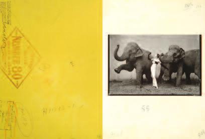 history, namely Dovima with elephants, Cirque d Hiver, 1955, produced for a