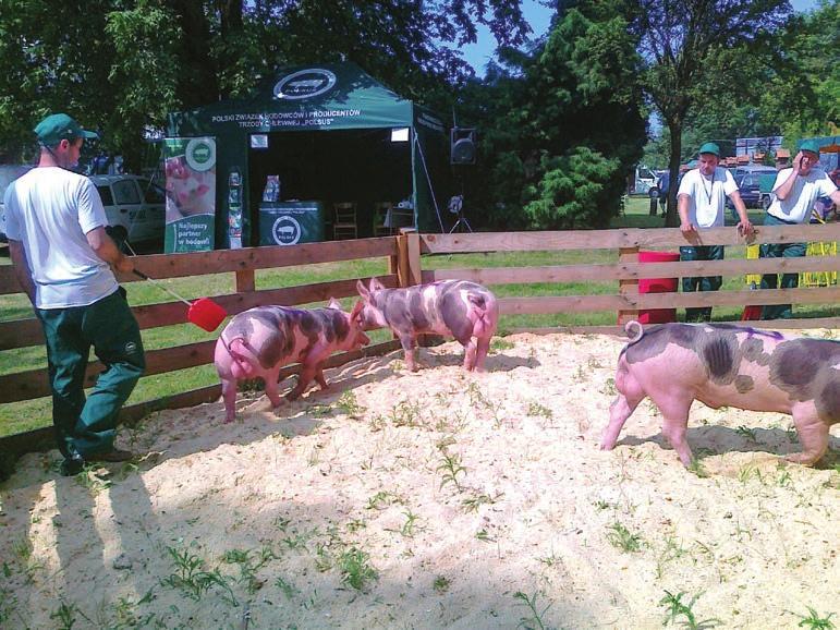 Zwierząt Hodowlanych w Mo