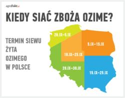 Podobnie jak inne rodzaje zbóż, tak i ono cechuje się wrażliwością na termin nie sugerujmy się jego niskimi wymaganiami na inne czynniki agrotechniczne.