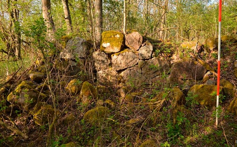 Fragmenty w stanie trwałej ruiny jednego z budynków murowanych. Widok od strony zachodu (Fot. R. Zapłata). Fig. 30. Old Louishof. Fragments of a ruined brick building. Seen from the west (Photo: R.