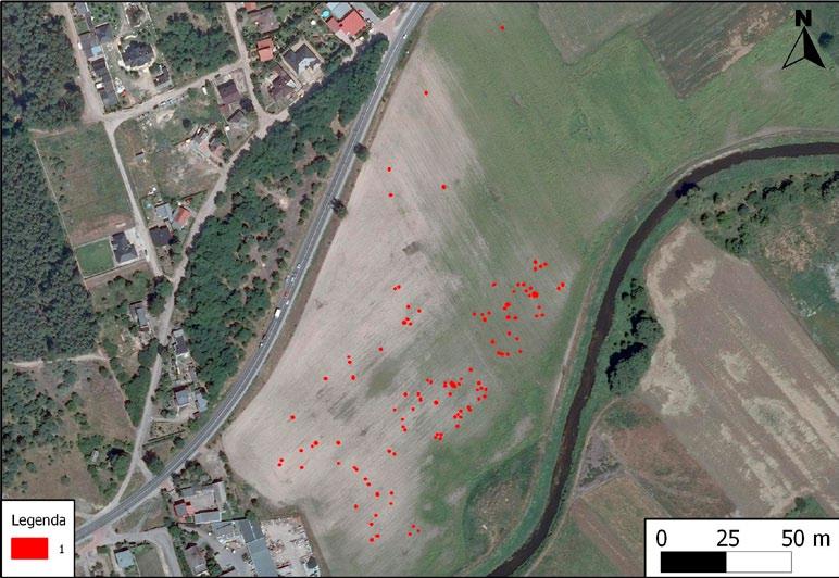 Mackiewicz). Fig. 4. Chrzelice (Opolskie Voivodeship). Example of interpretation of geophysical survey showing the extent and spatial structure of the site.