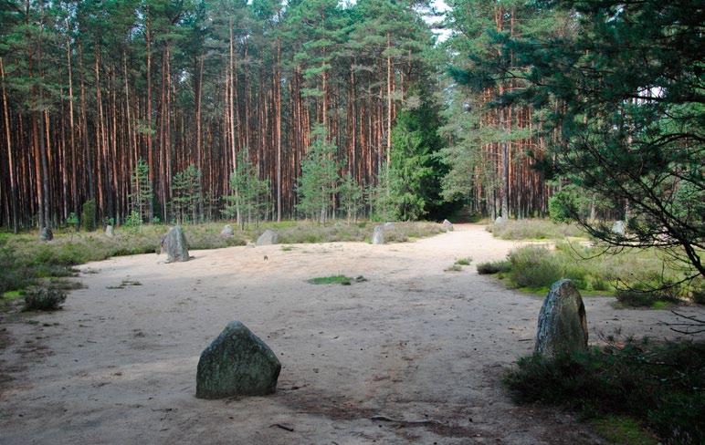 na miejscu (in situ) wykopalisk (np. Rezerwat Kręgów Kamiennych w Grzybnicy na Pomorzu - zob. Ryc.