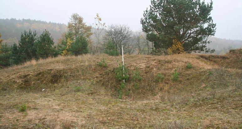 Hummocks on the edge of a disused gravel pit identified as a barrow cemetery (Photo: A. Kuczkowski). Ryc. 11.