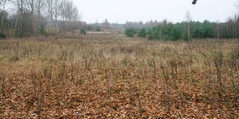 Ryc. 14. Żydowo, stanowisko 42 (AZP 18 26/58). Nowoodkryte cmentarzysko kurhanowe o nieokreślonej chronologii (Fot. A. Kuczkowski). Fig. 14. Żydowo, site 42 (AZP 18 26/58).