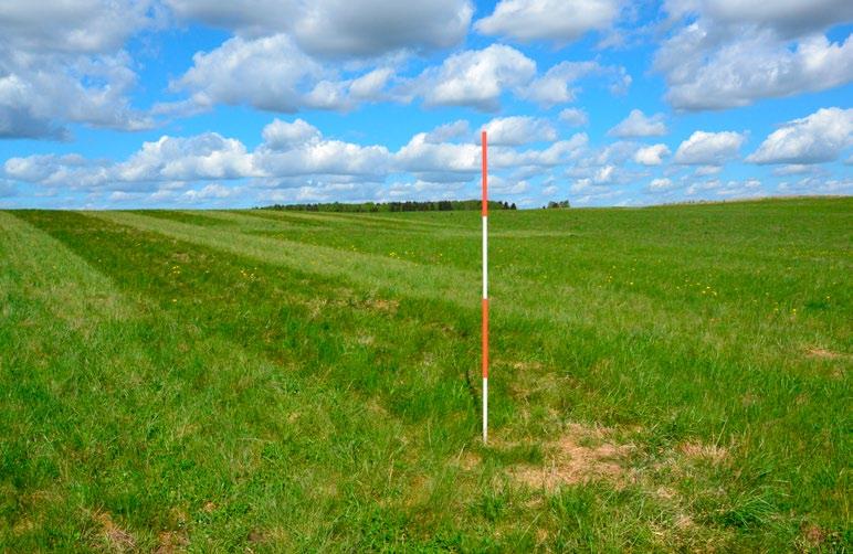 prac sprawdzono ponad 100 wyznaczonych wcześniej punktów, uznawanych za potencjalne obiekty i/lub stanowiska archeologiczne, głównie o charakterze osadniczym (Ryc. 3)