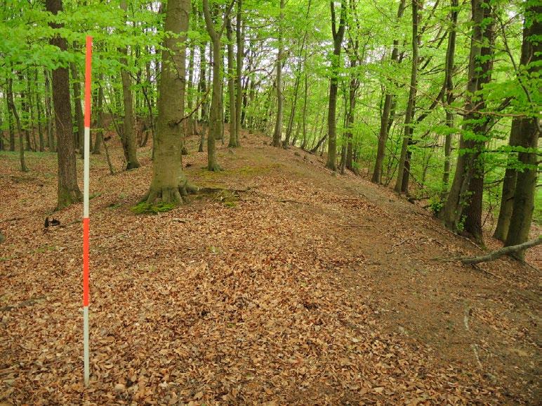 Kolejną grupą zabytków nieruchomych, odnotowaną na podstawie analiz danych ALS-ISOK, na terenach leśnych, i pozytywnie zweryfikowaną są grodziska (Ryc.