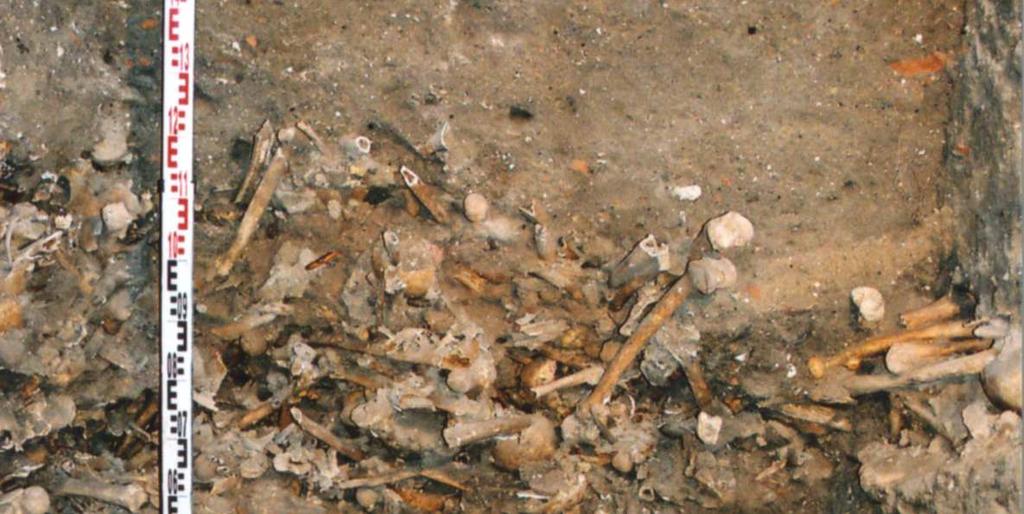 70 with visible bone remains (by Andrzej Sikorski) Na podstawie drobnych wyposażeń grobowych (elementy ubiorów i butów, szpilek,