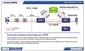 dokonanie konwersji naszych standardowych kursów do postaci elektronicznej.