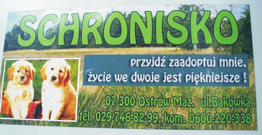 Ustawa o utrzymaniu czystości i porządku w gminach z 1996 r. (Dz. U., 1996, Nr 132, poz. 622). Ustawa o ochronie zwierząt z 1997 r. (Dz. U., 2013, poz. 856, ze zm.). Ustawa o ochronie zdrowia zwierząt oraz zwalczaniu chorób zakaźnych zwierząt z 2004 r.