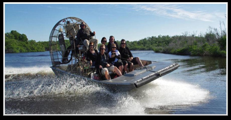 Dzień 2 Druga część dnia to wyprawa do Parku Narodowego Everglades!