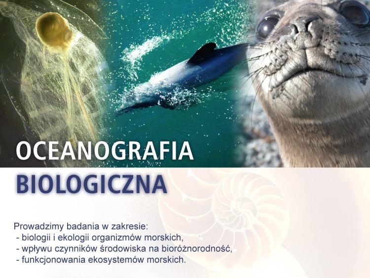 (Ze źródeł internetowych ) ZBPM Problematyka dotycząca biologii i ekologii zooplanktonu morskiego specyfika zespołów zwierzęcych w odniesieniu do warunków środowiskowych, interakcje w strukturach