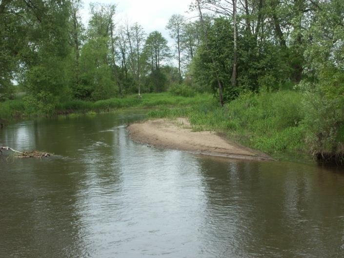 Pozostawienie naturalnego układu poziomego; Zachowanie zmienności przekrojów poprzecznych i nachylenia skarp; Dopuszczenie do lokalnej erozji