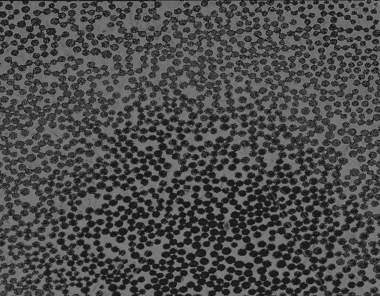 Rys. 82 Zdjęcia zgładu próbki rurowej pod mikroskopem, 50x, dla ułożenia włókien 60 59,8 61,2 57,3 Rys.
