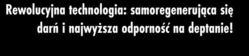 Życica RPR (samoregenerująca się życica trwała) to podgatunek życicy