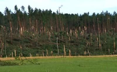 Klimat Klimat jest to 30-letni średni reżim pogody w danym regionie (World Meteorological Association) Klimat jest jednym