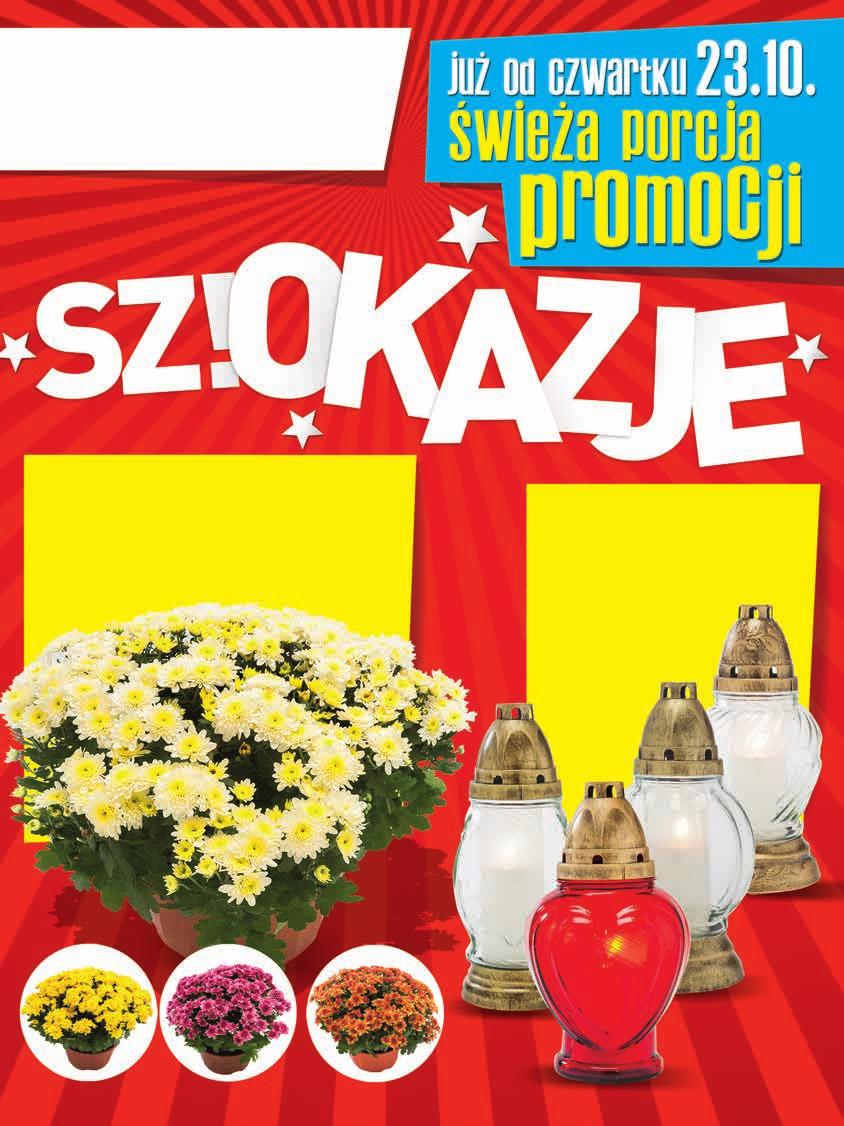 oferta ważna od CZWARTKU 23.10.