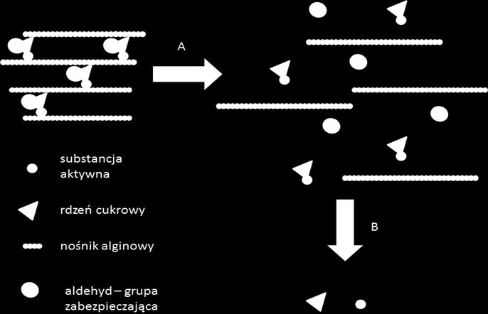 Wprowadzone grupy epoksydowe mogą zostać użyte dodatkowo do podwieszenia na strukturze związków aktywnych wspomagając działanie farmakologiczne.